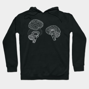 Human Brain Anatomy White Line Drawing Hoodie